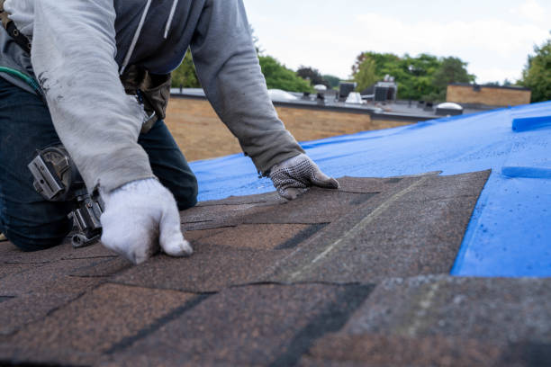 Best Slate Roofing Contractor  in Thoreau, NM
