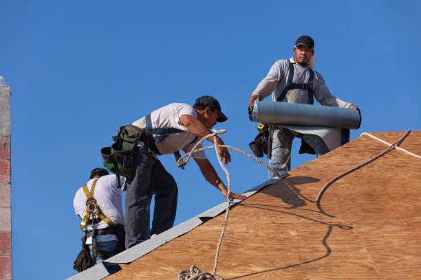 Best Roof Repair Services  in Thoreau, NM